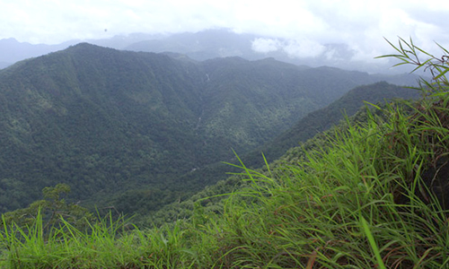 Mullanpara Viewpoint