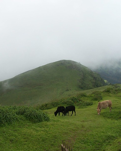 Mullayanagiri Peak