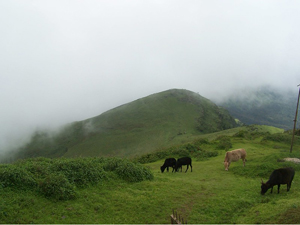 Mullayanagiri Peak