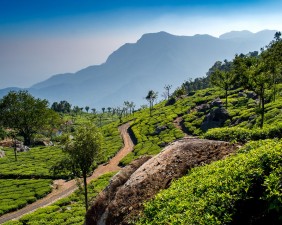 Munnar