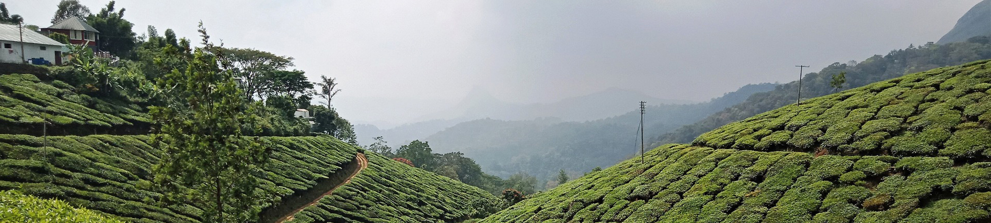 munnar