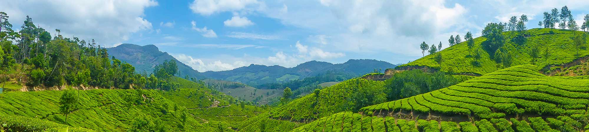 Munnar