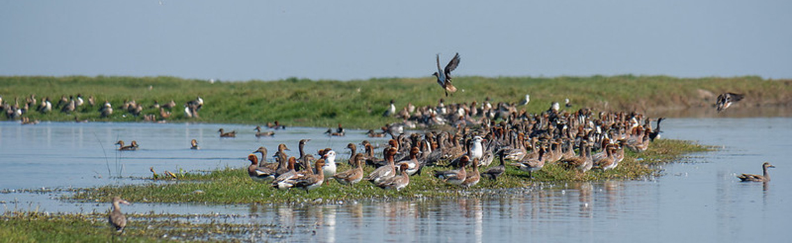 Nalabana Wildlife Sanctuary