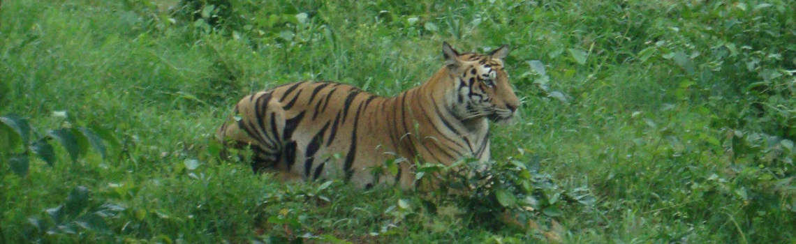 Nandan Kanan Zoo