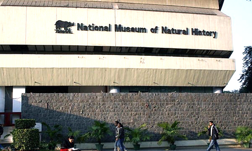 National Museum of Natural History