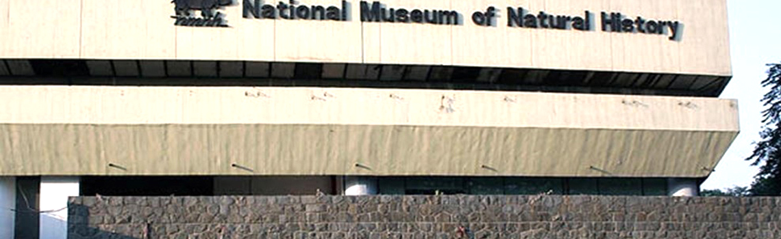 National Museum of Natural History