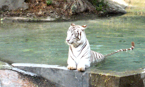 National Zoological Park