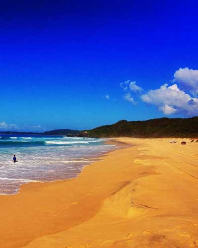 Noosa National Park