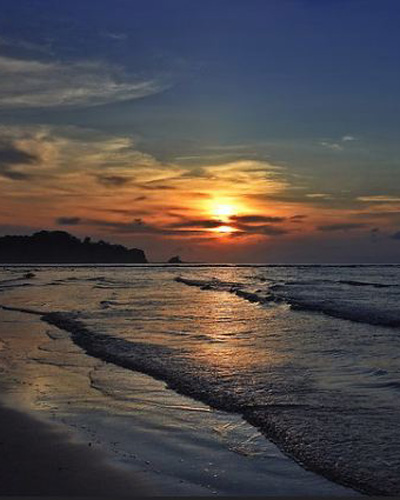 Ocean Tree Beach