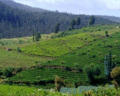 Ooty Hill Station