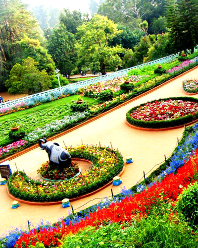 Ooty Rose Garden