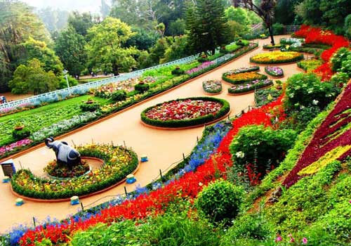 Ooty Rose Garden