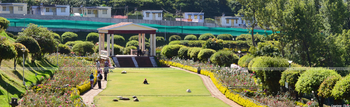 Ooty Rose Garden