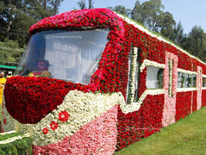 Ooty Rose Garden