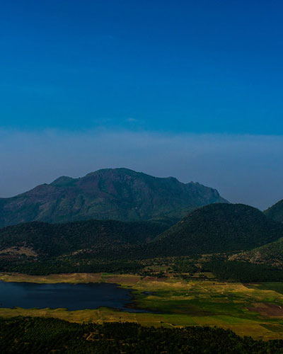 Palani Mountain