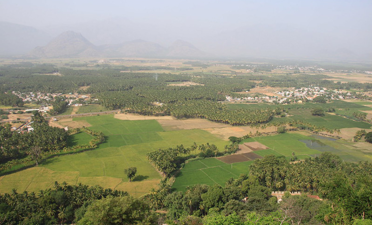 Palani View