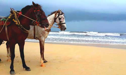 Panambur beach Mangalore