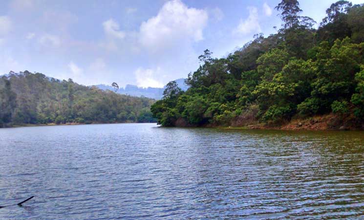 Periyar National Park