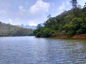 Periyar National Park