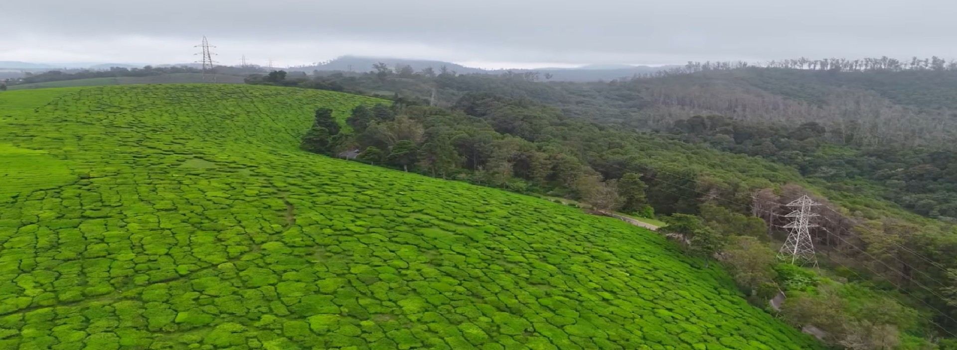 Places to Visit in Ooty in December, Ooty Tour