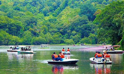 Pookode lake