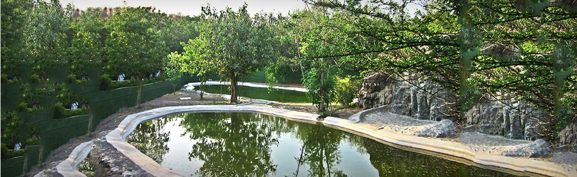 Pradhyuman Zoological Park Rajkot