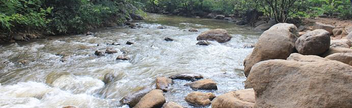 Puliyancholai Falls