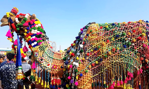 Pushkar Camel Fair