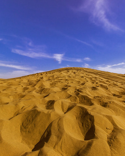 Sam sand Dunes