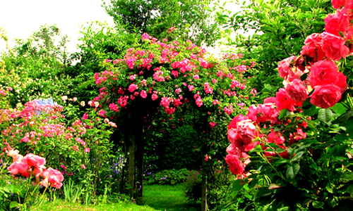 Saputara Lake Garden