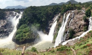 Shivanasamudra Falls