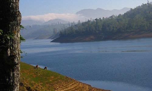 Sholayar Dam