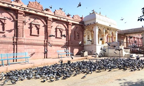 Shri Laxminath Temple