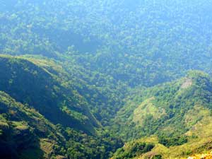 Silent Valley National Park