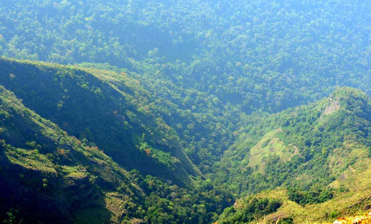 Silent Valley National Park