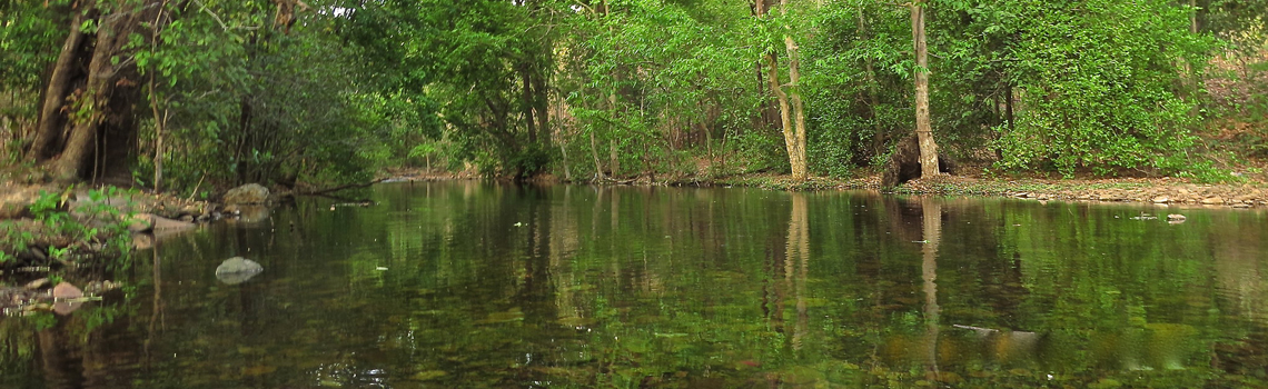 Sitamata Wildlife Sanctuary