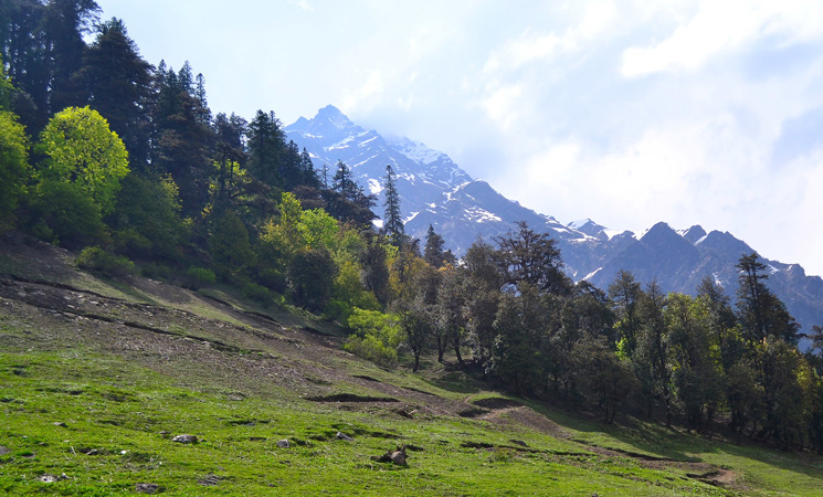 Solang Valley