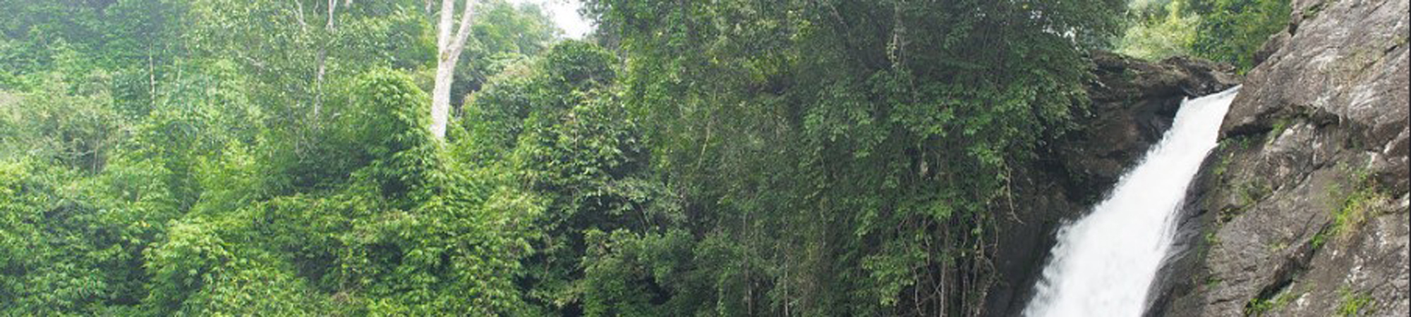 Soochipara Waterfalls