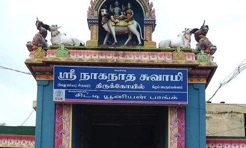 Sri Naganathaswamy Temple - kethu