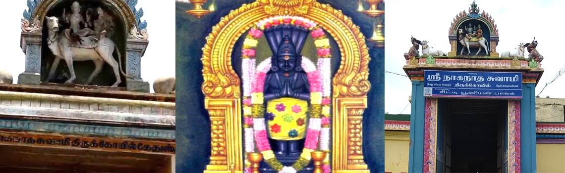 Sri Naganathaswamy Temple - kethu