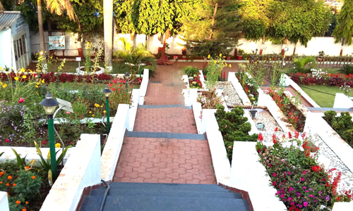 Step Garden