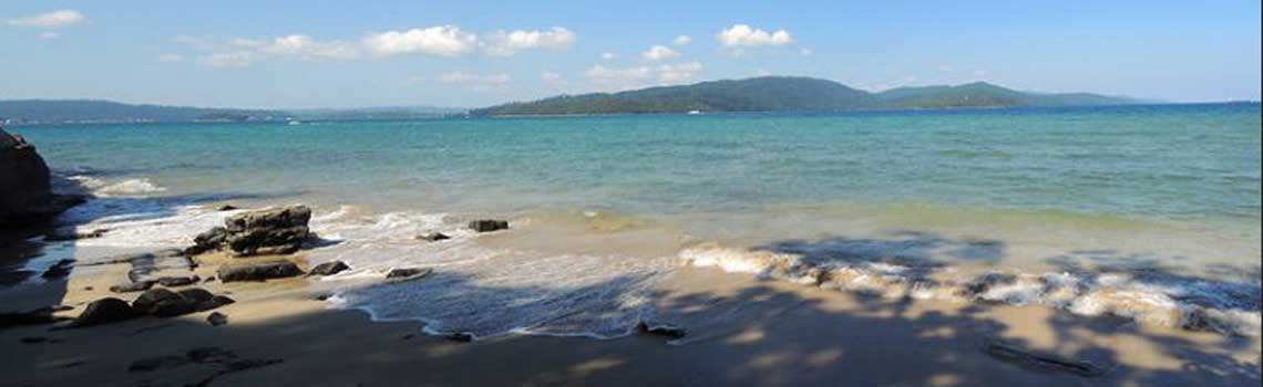 Stewart Island beach