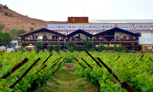 Sula Vineyards