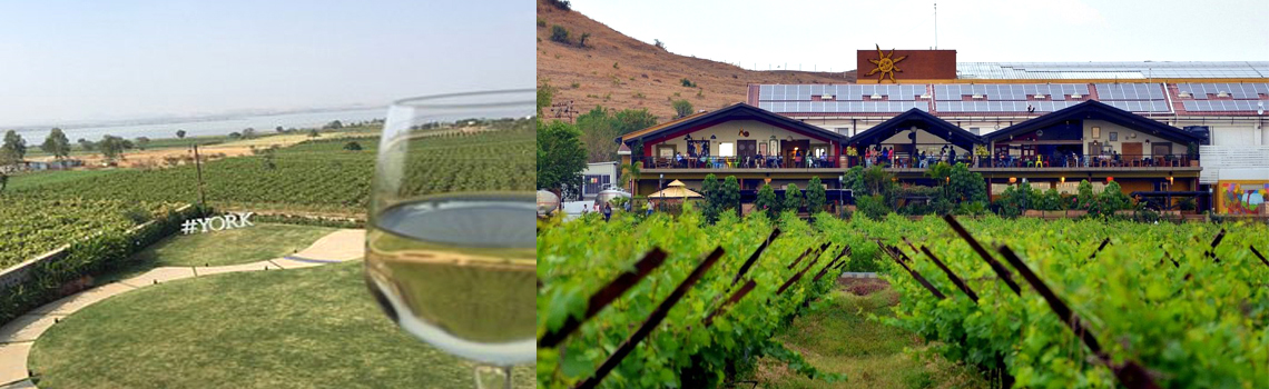 Sula Vineyards