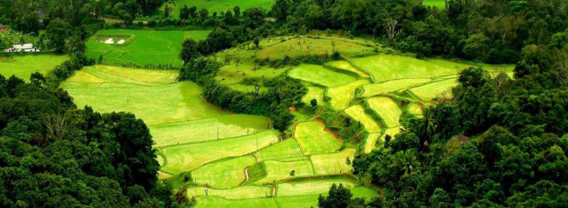 Summer vacation packages 2025 in South India 