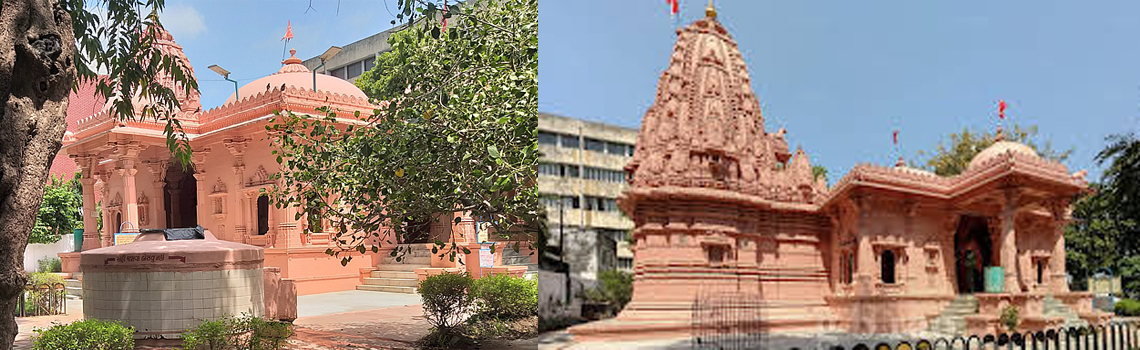 Surya Narayan Temple