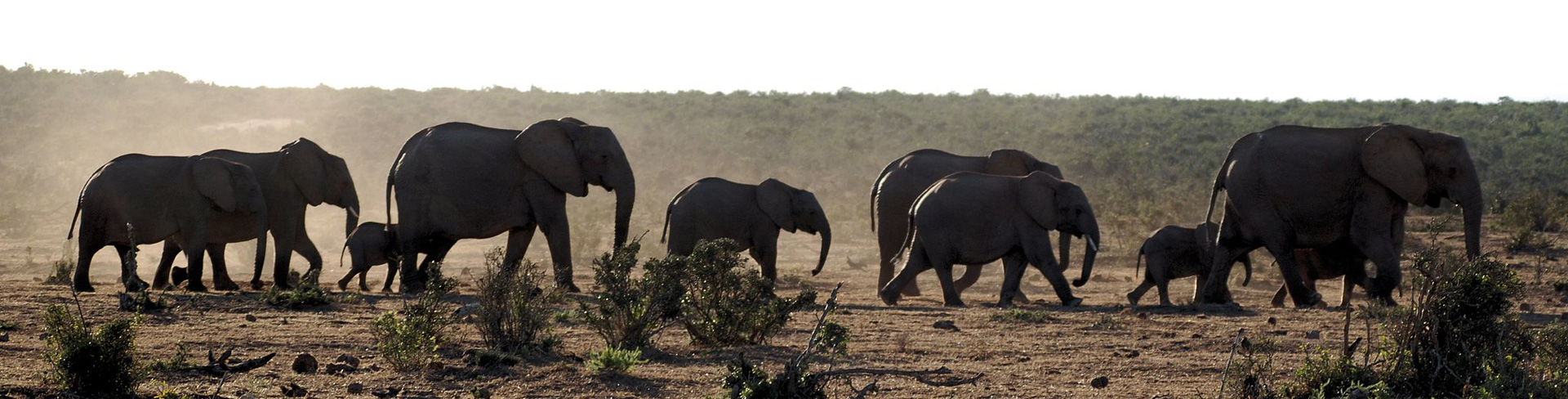 Tarangire National Park