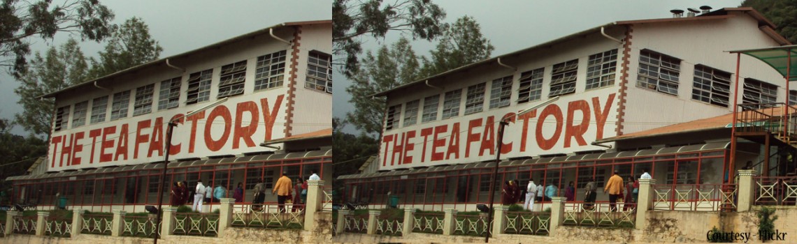 Tea factory