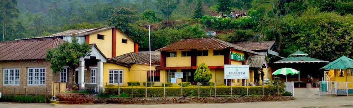 Tea Museum - Munnar