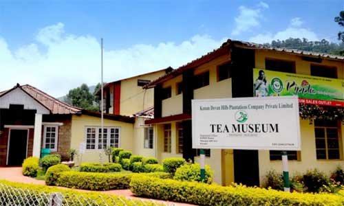 Tea Museum - Munnar